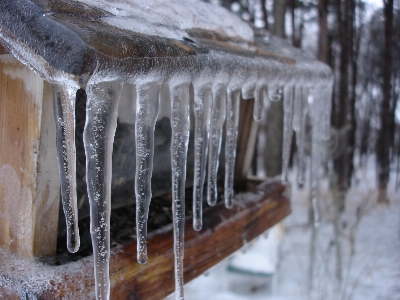 Foto All'aperto nevicare freddo inverno