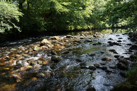 Landscape tree water nature Photo