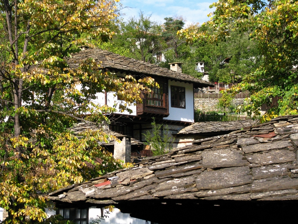 Alam rumah bunga pedesaan