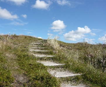 Landscape sea coast nature Photo