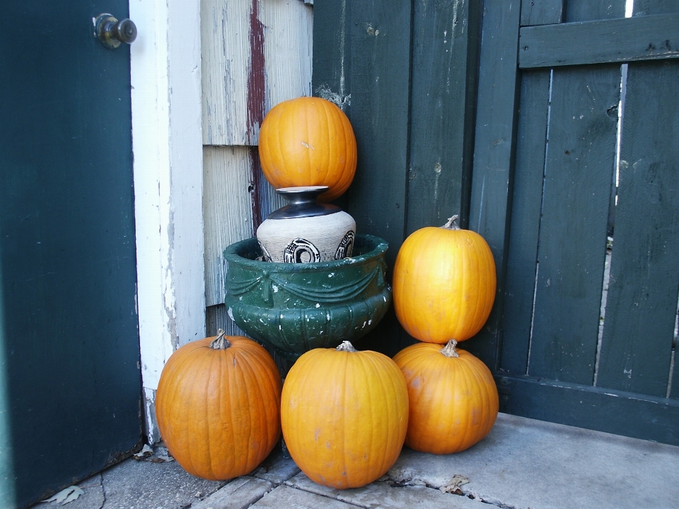 Fall color autumn pumpkin