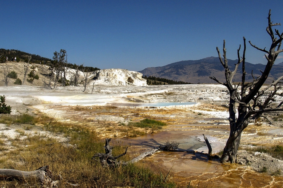 Landschaft wasser natur rock