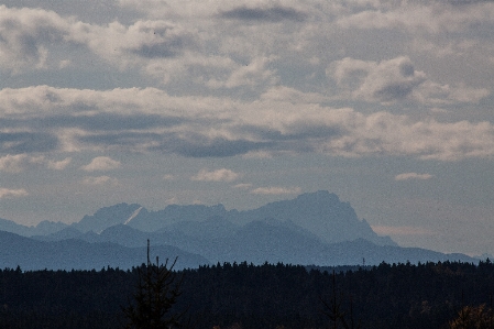 Landscape nature forest horizon Photo