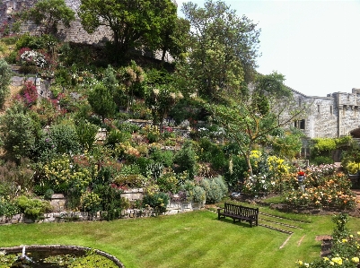 Architecture lawn mansion flower Photo