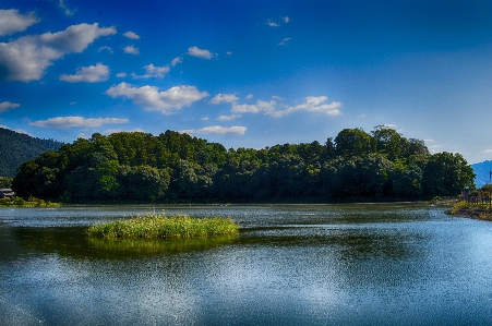 Landscape sea tree water Photo