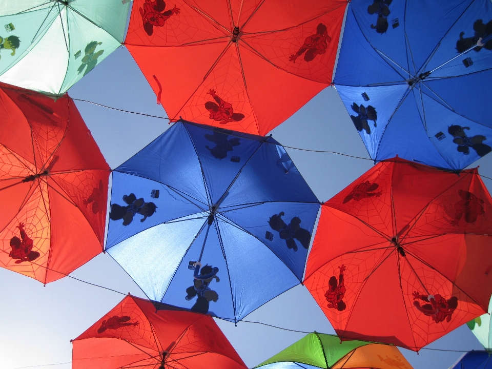 Wheel flower petal canopy