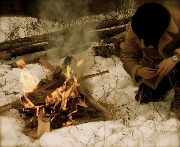 自然 森 荒野
 雪 写真