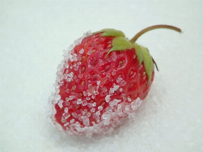 Plant white raspberry fruit Photo