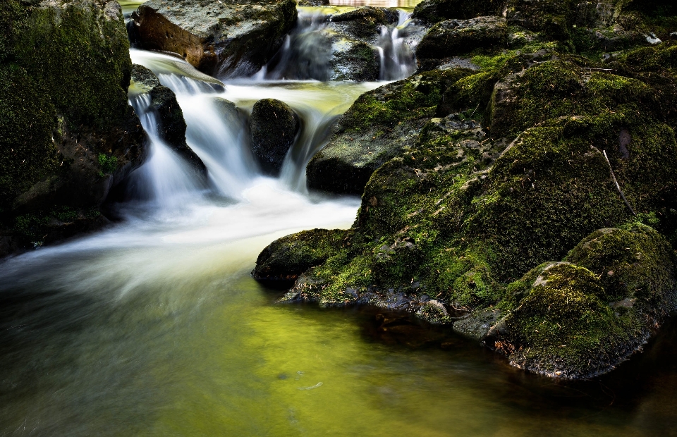 Paisaje árbol agua naturaleza