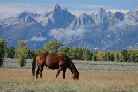 Landscape nature wilderness mountain Photo