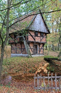 Baum bauernhof haus blume Foto