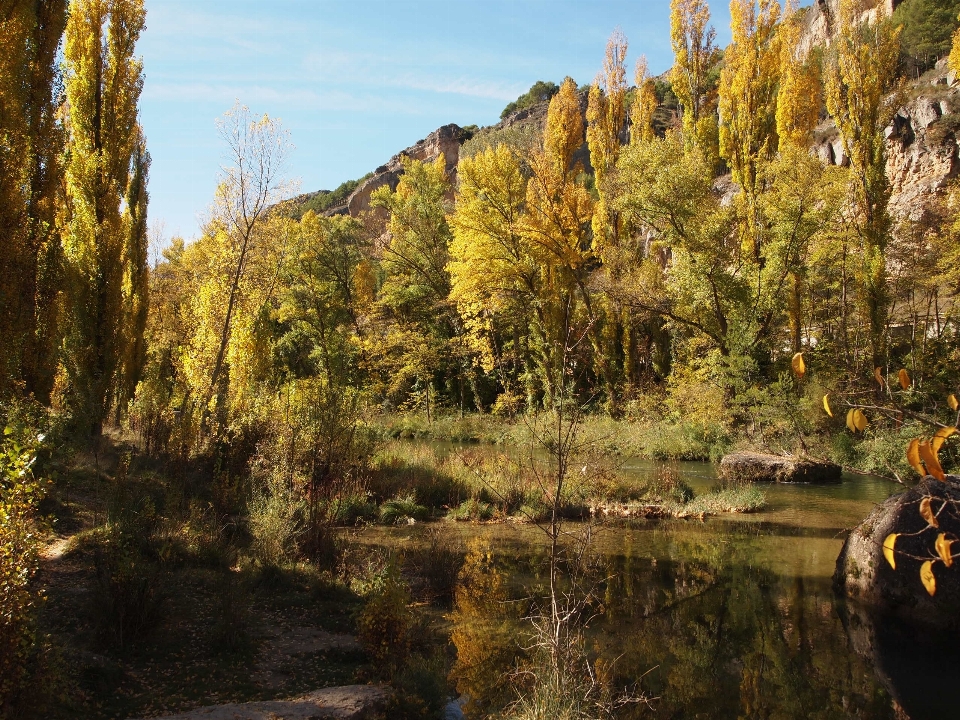 Paisagem árvore água natureza