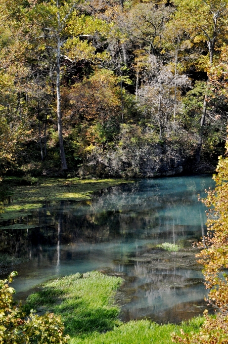 Paisaje árbol agua naturaleza