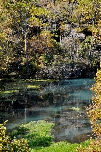 Landscape tree water nature Photo