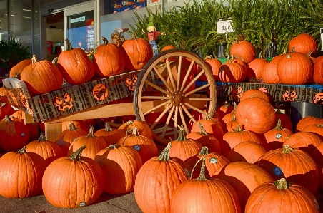 Foto Carro autunno arancia zucca