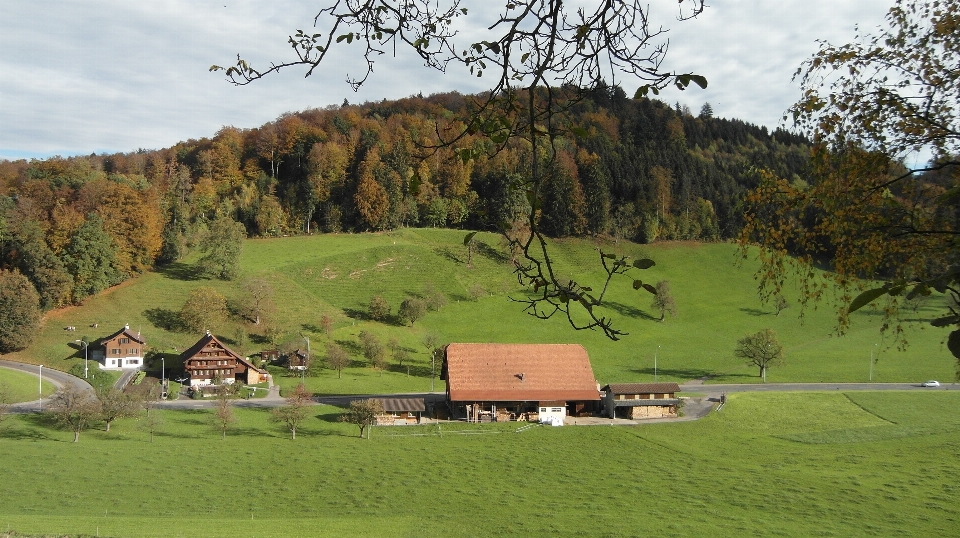 Landschaft wald berg feld