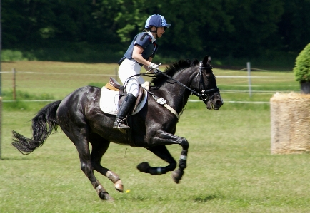 Jump recreation jumping horse Photo