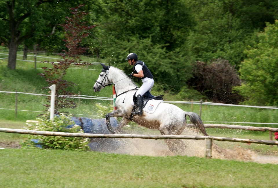 Jump recreation jumping pasture