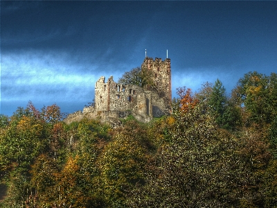 Landscape tree nature mountain Photo