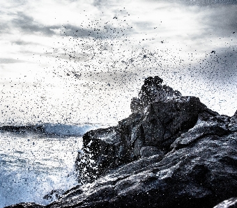 海 海岸 水 自然 写真