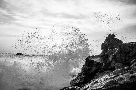 海 海岸 水 自然 写真