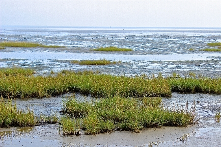 ビーチ 海 海岸 水 写真