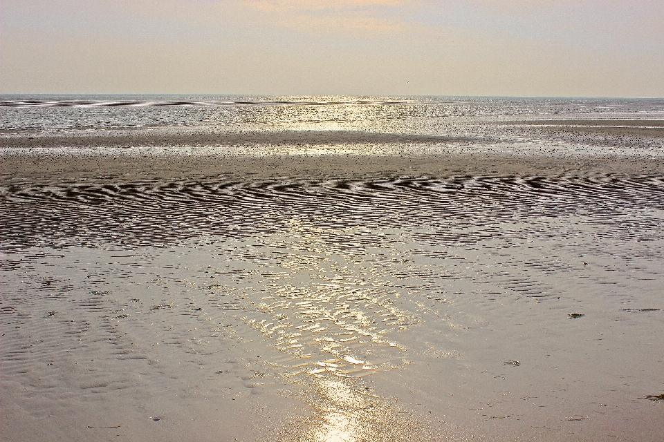 ビーチ 海 海岸 砂