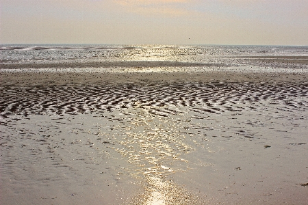 Beach sea coast sand Photo