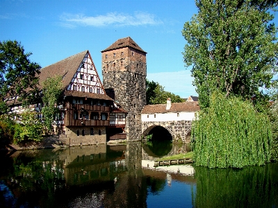 Tree water bridge mansion Photo