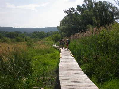 Zdjęcie Krajobraz natura na wolnym powietrzu pustynia
