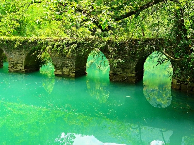 Foto Paesaggio acqua natura ponte