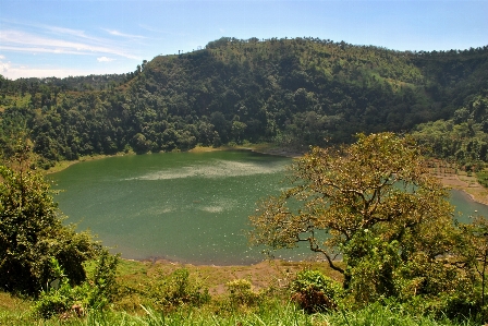 Landscape water nature forest Photo