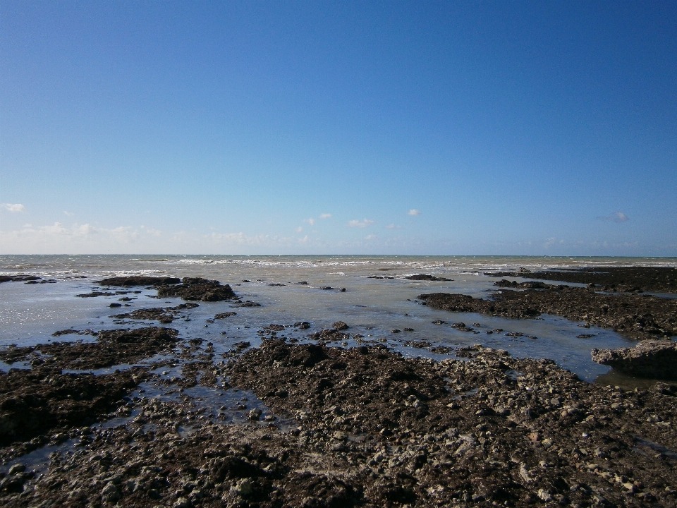 ビーチ 海 海岸 水