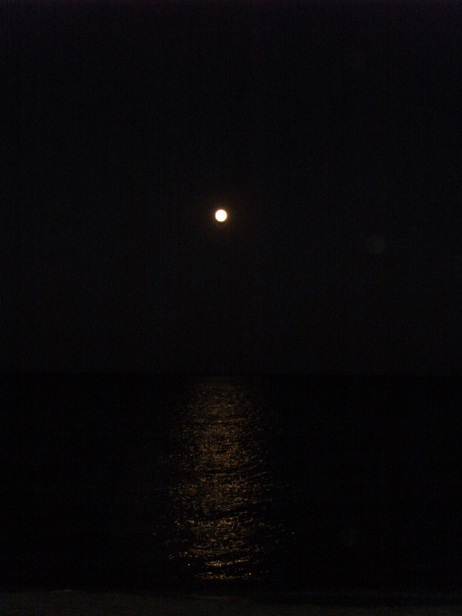 海 水 光 夜晚