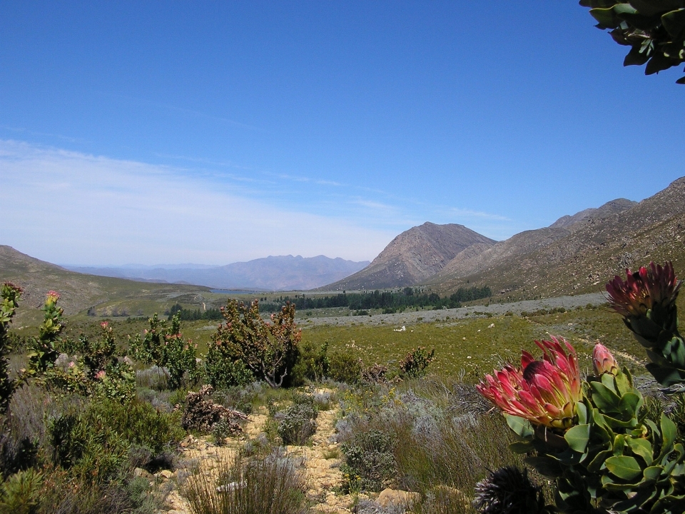 Paisaje naturaleza exterior desierto
