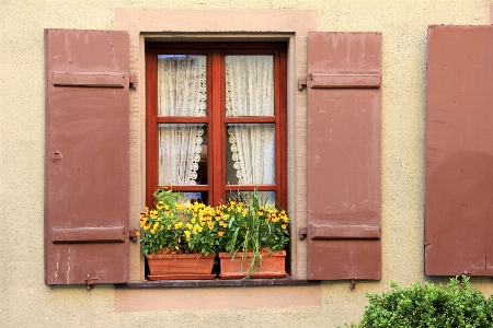 Architecture wood house flower Photo