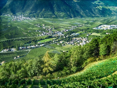 Foto Paesaggio natura foresta montagna