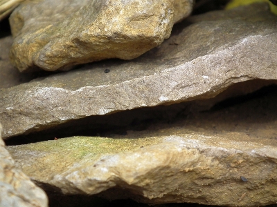 Nature rock wood texture Photo