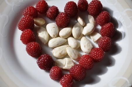 Plant raspberry fruit berry Photo