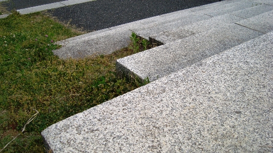 自然 草 芝生 歩道
 写真