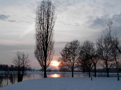 Landscape tree nature horizon Photo