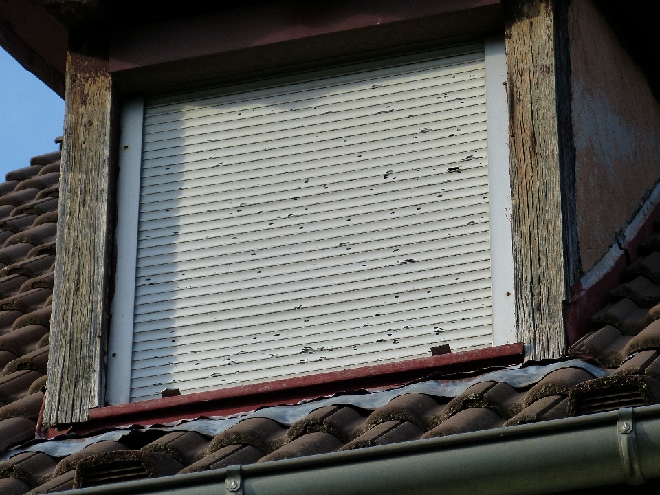 Wood window roof wall