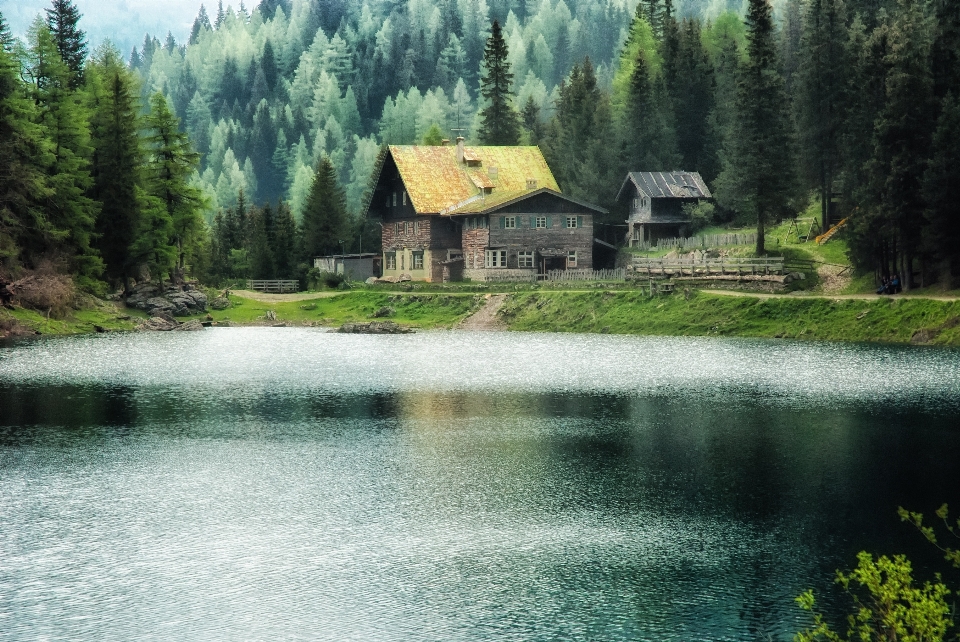 風景 水 自然 森