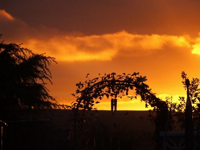 Nature horizon light cloud Photo