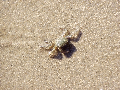 Beach sand sun summer Photo