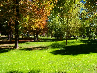 Foto Paisaje árbol naturaleza bosque