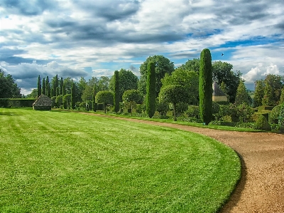 Landschaft baum natur gras Foto