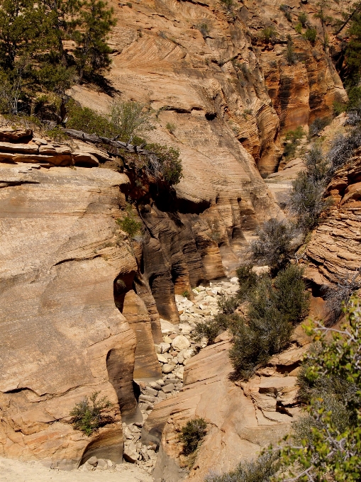 Paisaje árbol naturaleza rock