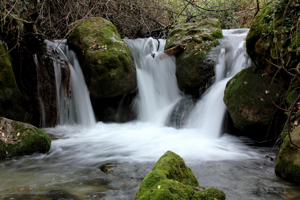 água natureza floresta cachoeira