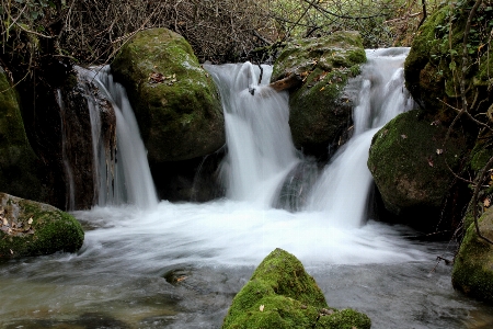 Water nature forest waterfall Photo